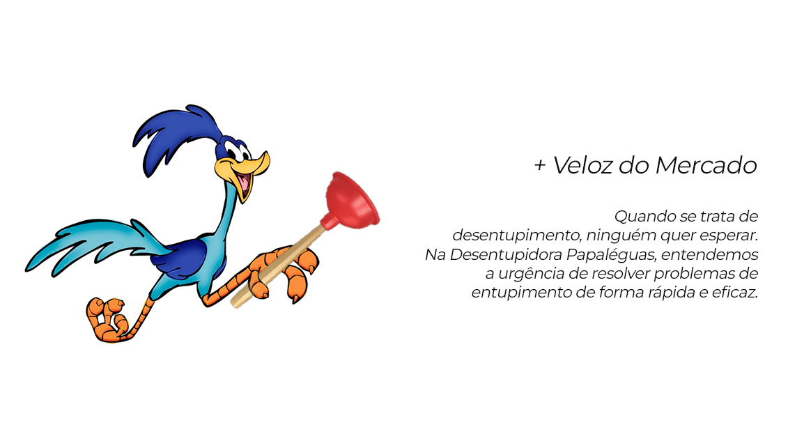Desentupidora em BH Papal�guas